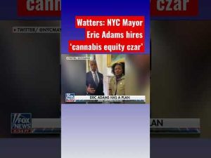 Read more about the article Jesse Watters: Cannabis needs to be equitable for Mayor Eric Adams #shorts