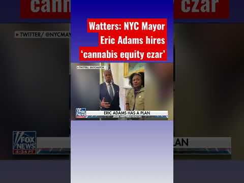 You are currently viewing Jesse Watters: Cannabis needs to be equitable for Mayor Eric Adams #shorts