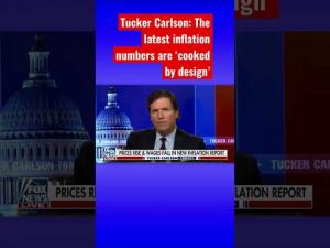 Read more about the article Tucker Carlson: The Biden admin is gaslighting voters #shorts