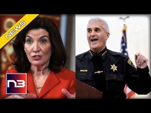 Read more about the article “WE WILL NOT COMPLY!” SHERIFFS REJECT HOCHUL’S NEW YORK GUN CONTROL LAW