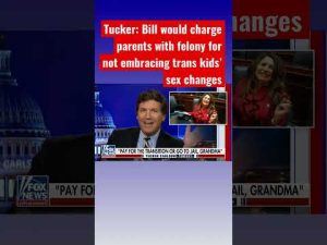 Read more about the article Tucker: Parents will be sent to jail for this #shorts