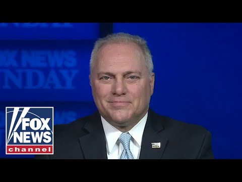 You are currently viewing Rep. Scalise: Voters want a ‘check and balance’ on this