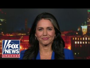 Read more about the article Tulsi Gabbard: Today’s Democratic Party is controlled by ‘fanatical ideologues’