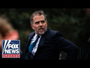 Read more about the article Media ignoring Hunter Biden story is a ‘dereliction of duty’: Jon Levine