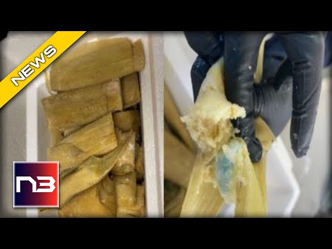 You are currently viewing You Won’t Believe What This Drug Smuggler Did To Get Fentanyl Into The US!