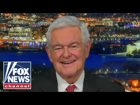 You are currently viewing Gingrich: Dems will be ‘more and more panicked’ as midterms approach