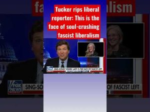 Read more about the article Tucker shreds MSNBC reporter’s calls for more censorship #shorts