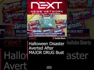 Read more about the article Halloween Disaster Averted After MAJOR DRUG Bust #shorts