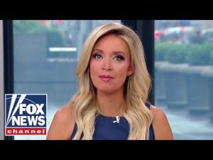 Read more about the article McEnany: Another ridiculous stunt by the climate crusaders