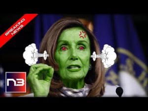 Read more about the article BOOM! Pelosi CONFRONTED With LOSING, SNAPS on Reporter With 5 Words Denying Reality