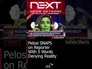 Read more about the article Pelosi SNAPS on Reporter With 5 Words Denying Reality #shorts