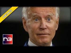 Read more about the article Biden CONFRONTED on Key Issue, then GASLIGHTS America with His Ridiculous Answer