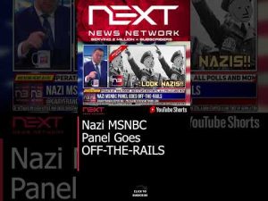 Read more about the article Nazi MSNBC Panel Goes OFF-THE-RAILS #shorts