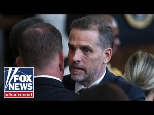 Read more about the article Bombshell Hunter Biden docs raise serious questions: Pompeo