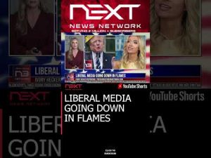 Read more about the article LIBERAL MEDIA GOING DOWN IN FLAMES #shorts