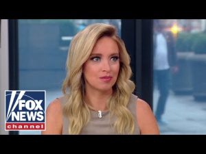 Read more about the article McEnany: Democrats don’t want free thinkers