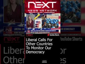 Read more about the article Liberal Calls For Other Countries To Monitor Our Democracy #shorts