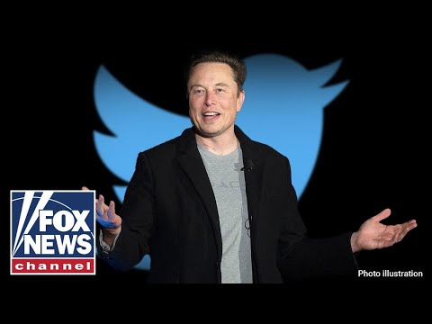 You are currently viewing Elon Musk’s Twitter takeover causes panic