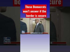 Read more about the article Democrats avoid saying if the border is secure #shorts