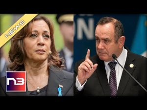 Read more about the article Kamala HUMILIATED After Guatemalan President BLASTS Admin Over Illegal Immigrants