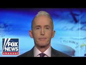 Read more about the article Trey Gowdy: Political violence rising in America