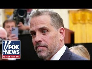 Read more about the article Feds have evidence for gun, tax charges against Hunter Biden, report says