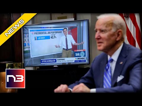 You are currently viewing MSNBC Forced To Report SHOCKING Midterm Prediction Biden Will Hate To See