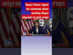 Read more about the article Will Cain: Here is what Nancy Pelosi really thinks about illegal migrants #shorts