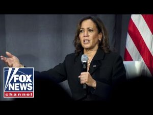 Read more about the article ‘What an insult’ from Kamala Harris