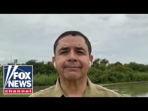 Read more about the article Henry Cuellar urges colleagues to visit border: ‘Haven’t seen numbers like this’