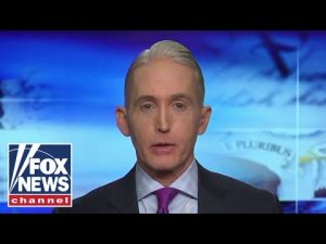 Read more about the article Trey Gowdy: Cops are still working for you despite ‘defund’ push