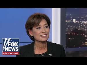 Read more about the article Rep Young Kim calls out Kamala Harris: We do have a border crisis