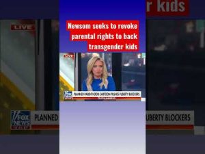 Read more about the article Kayleigh McEnany rips Newsom’s efforts to abet transgender kids #shorts