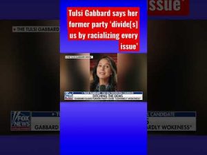 Read more about the article Tulsi Gabbard slams Democratic Party over ‘cowardly wokeness’ #shorts