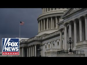 Read more about the article House leans Republican, but the Senate is up for grabs | Bret Baier’s All-Star panel