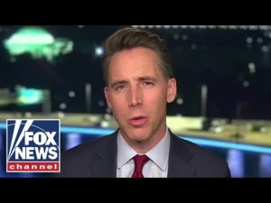 Read more about the article Hawley: This is the GOP’s number one priority