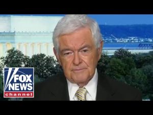 Read more about the article Newt Gingrich: Democrats ‘bear the burden’ of this