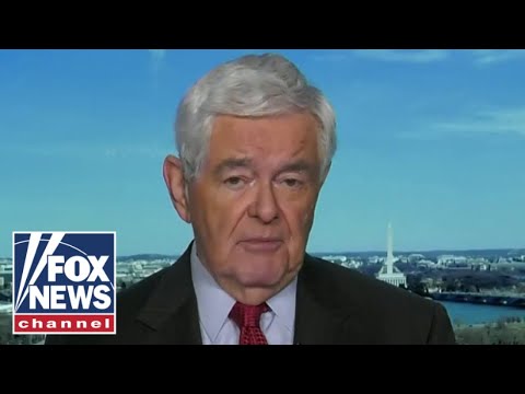 You are currently viewing Gingrich: Republicans need to look at why we didn’t do better