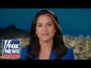 Read more about the article Tulsi Gabbard sends message to Democrats: Stand up against this