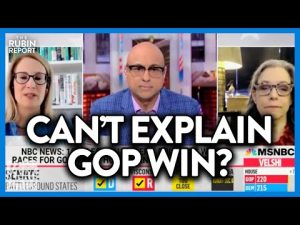 Read more about the article MSNBC Guest Creates Insane Narrative on the Spot to Explain GOP Wins | DM CLIPS | Rubin Report