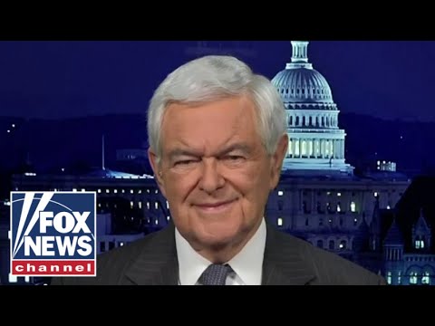 You are currently viewing The 2022 House Republican Party will be the ‘most diverse’ in US history: Newt Gingrich