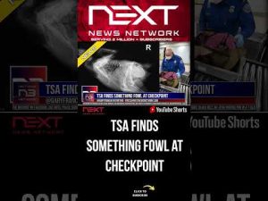 Read more about the article TSA FINDS SOMETHING FOWL AT CHECKPOINT #shorts