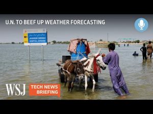 Read more about the article The U.N. Wants More Weather Data to Prevent Climate Disasters | Tech News Briefing Podcast | WSJ