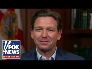 Read more about the article Ron DeSantis explains why he supports Lee Zeldin in NY gubernatorial race