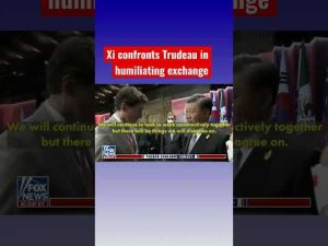 Read more about the article Xi humiliates Trudeau at G20 #shorts