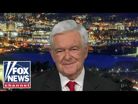 You are currently viewing Everybody has to turn out and vote: Newt Gingrich