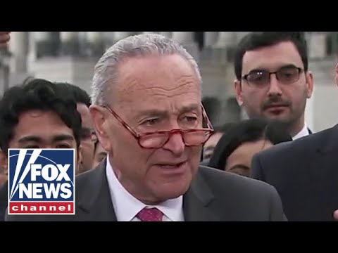 You are currently viewing ‘The Five’ slam Chuck Schumer over his amnesty proposal