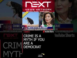 Read more about the article CRIME IS A MYTH IF YOU ARE A DEMOCRAT #shorts