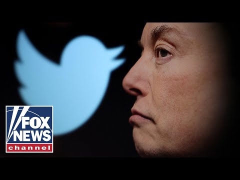 You are currently viewing Elon Musk loses over 1K Twitter employees from this demand