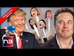 Read more about the article BREAKING: Elon Reinstates Trump, Libs MELTDOWN, Servers Buckle, MAGA Rejoices, Trump Reacts